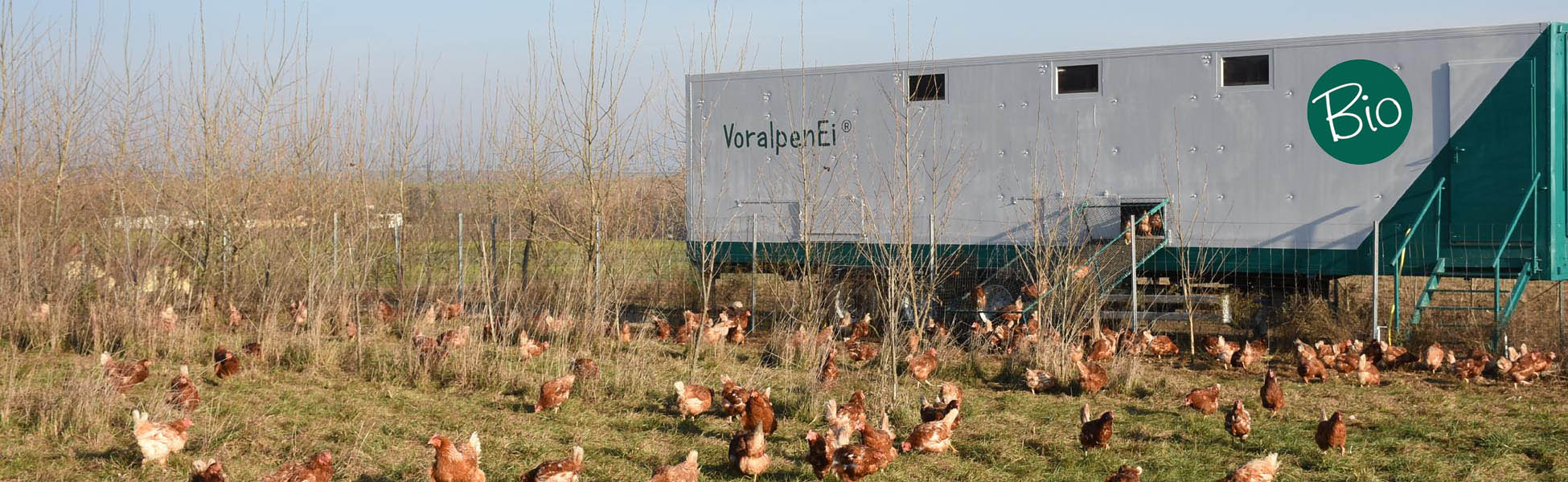 Bio-VoralpenEi